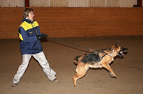 Training in Estonia 3/2007